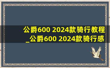 公爵600 2024款骑行教程_公爵600 2024款骑行感受